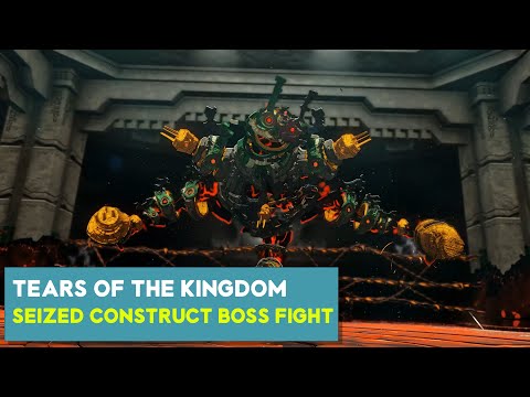 Seized Construct Boss Fight #tearsofthekingdom #zeldatearsofthekingdom #boss