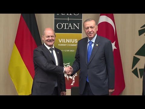 German Chancellor Scholz meets with Turkish President Erdogan in Vilnius | AFP