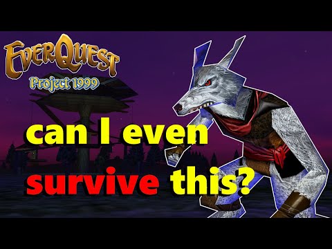 The adventure continues? - Everquest Project 1999