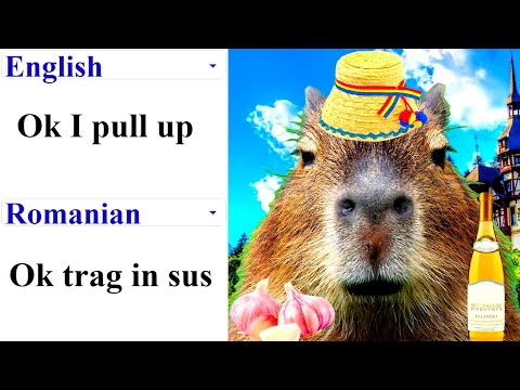 Ok I pull up in different languages meme