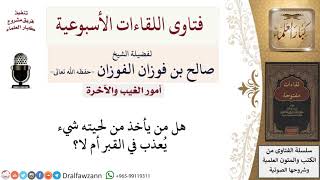 صورة هل من يأخذ من لحيته يُعذب في القبر؟ لمعالي الشيخ صالح الفوزان