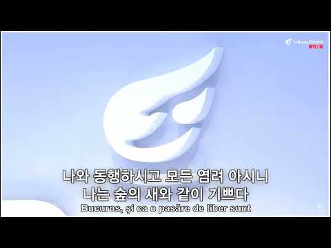 SUNT FERICIT ÎN FIECARE ZI