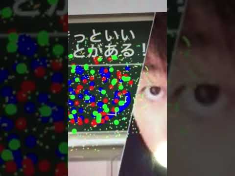 会計学科 歩く花と花火！  木村勝則滋賀県高島市！