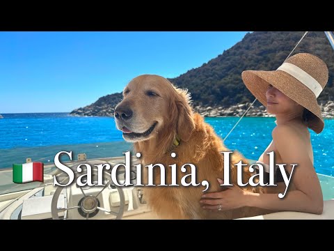 🇮🇹 Il mio CANE viaggia in SARDEGNA, l'isola più bella d'Italia (5 giorni da SUD a NORD)