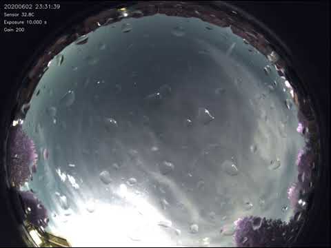 Allsky 2020-06-02 - 1 Meteor