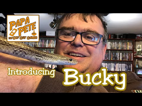 Introducing Bucky! - Papa Pete Reflects