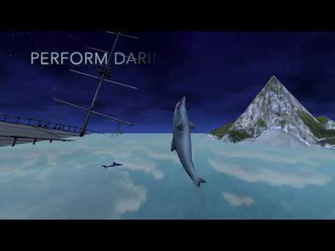 Dolphin Simulator Video