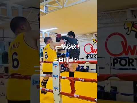 [キックボクシング　格闘技　トレーニング] 一撃必殺！　三日月蹴り！　#キックボクシング #格闘技 #トレーニング