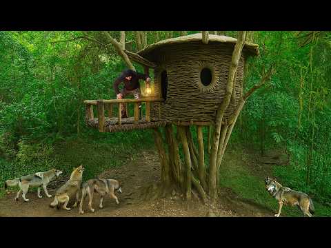 I Spent 7 Days Building a House Made of Vines on a Large Tree to Survive in the Rainforest