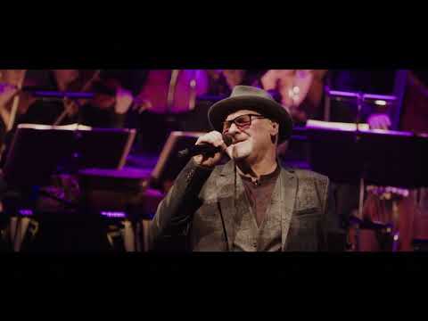 Winter Wonderland I SWR Big Band w/ Strings & Paul Carrack I The Swinging Christmas Show