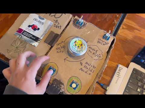 Link to demo video