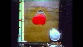 Frost Damage in Pavement (Full Length)