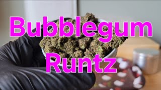 Bubblegum Runtz (budget option) - Wiz Distro - THCa Flower Review