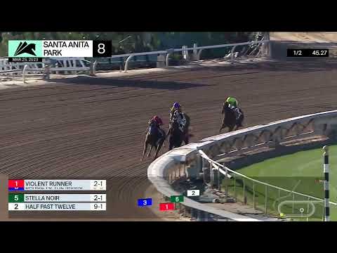 Santa Anita Park Carrera 8 (The Desert Stormer Gr.3) - 25 de Marzo 2023