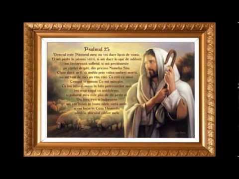 Vreau sa ma iubesti Nicu Chereji