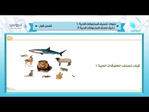 الخامس الإبتدائي | الفصل الدراسي الأول 1438 | علوم | تصنيف المخلوقات الحية 1