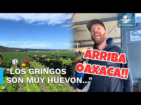 Patrón estadounidense explica por qué prefiere a migrantes mexicanos y se viraliza en TikTok





