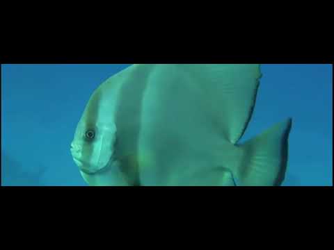 HBAnoticias. Portada marina para facebook de HBAnoticias