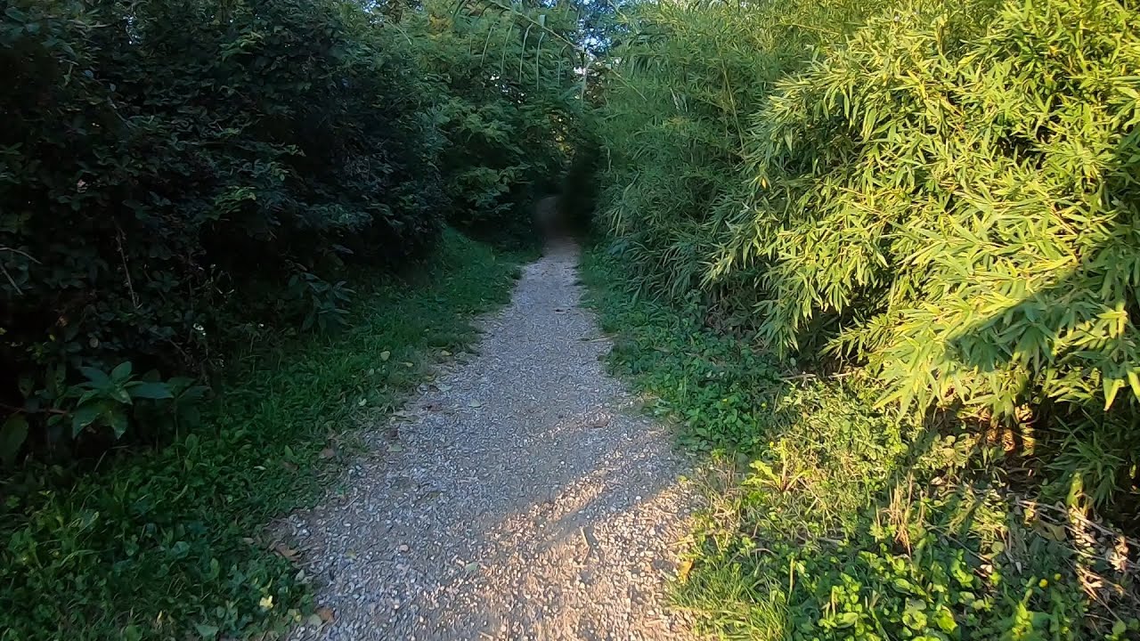 Giro In Bici Bologna-CastelMaggiore-Bologna 15x