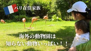 【フランス在住家族】パリ観光にもオススメのスポット！1歳半の娘が動物園デビュー