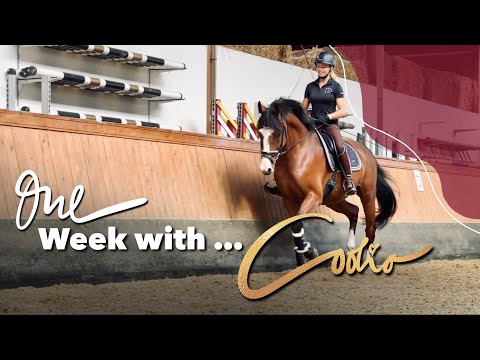 One Week with... Coolio Folge 7 | Letzte Woche auf dem Buchenhof 😢
