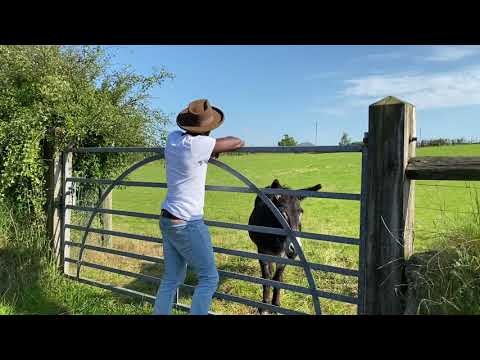 T Brixson - You Know Me (Official Video)