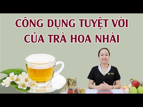 [Trà Đông Y] TRÀ HOA NHÀI AN THẦN 🌼🌼🌼 #phòngkhámyviên #99k #số_1_Y_VIÊN