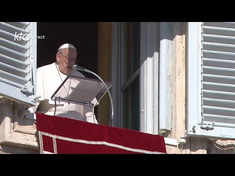Angélus du 1er décembre 2024