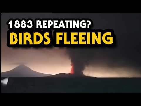 Birds Fleeing Anak Krakatau Volcanic Eruption Area is Global Agriculture in Danger