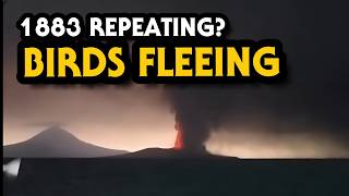 Birds Fleeing Anak Krakatau Volcanic Eruption Area is Global Agriculture in Danger