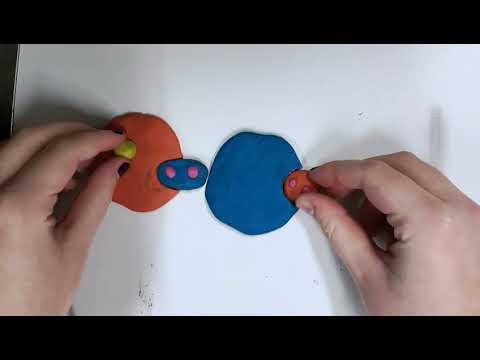 Cofaktoren Easy erklärt!