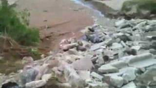 Floods Cause Erosion On Lake Michigan Shore