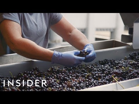 How Wine Is Made