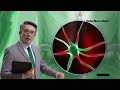 DOLO NEUROBION ENGLISH