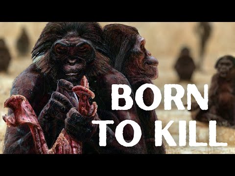 The Killer Ape Theory of Human Evolution