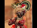 Lord Krishna Status Jay Murlidhar Maharaj