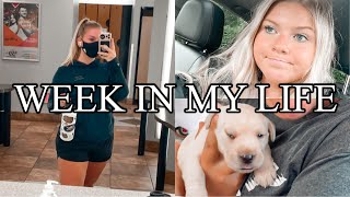WEEK IN MY LIFE | Working, MEETING MY NEW PUPPY, Managing Daily Uploads, 4th of July, + more!