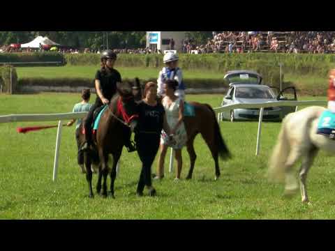 NE - 15.8.2021 - Pony liga - 2. dostih