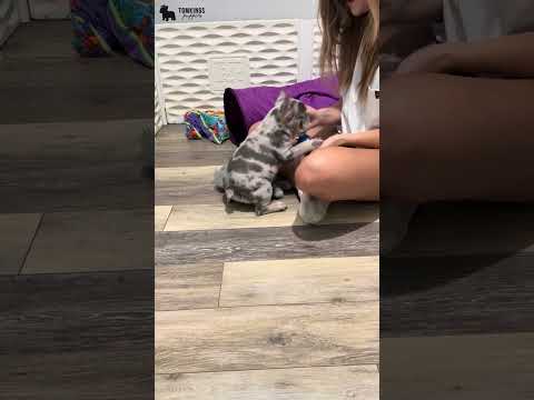 Video 2