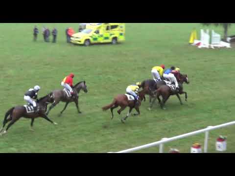 NE, 1. 9. 2018, 8. dostih - STEEPLECHASE ČSAD-Busem České Budějovice a.s.