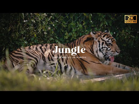 Gembira Loka Zoo | Sony A7C & FE 70-200 F4 G | Cinematic Look