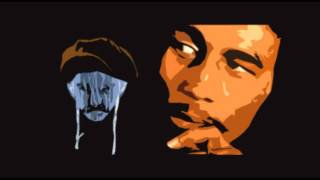 Bobby Canelo (Bob Marley vs Calexico Mashup) by Don Desierto