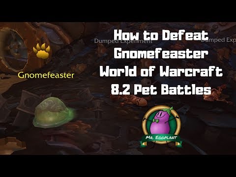 How to Defeat Gnomefeaster | 8.2 Mechagon Pet Battles | World of Warcraft
