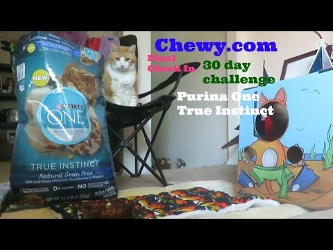 Chewy.com | 30 Day Challenge | Final Thoughts | Purina One True Instinct