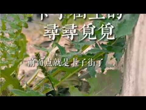 没有可以分享的快乐，只有独自承担的磨难，现在的软弱证明，你一直是那么坚强。#看到最后 #老照片 #童年回忆 #芜湖方言 #芜湖老城区