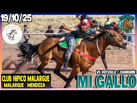 MI GALLO - 19/10/25 CLUB HIPICO MALARGUE (Mendoza)