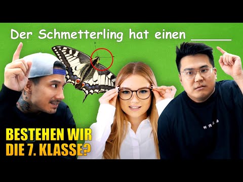 Schaffen wir die 7. KLASSE als ERWACHSENE? (oder dumm?)