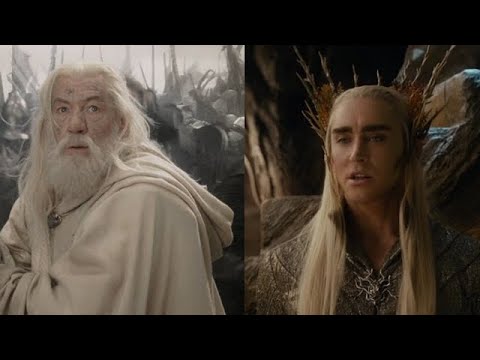 Best Defense of Woodland Realm I've Ever Seen! -- 2025 World Tournament Finals