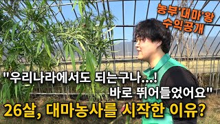 "대마농사 후회도 되는데, 무조건 버틸 거예요..." 호주 생활 이후, 26살에 대마농사를 시작한 이유 [대…