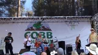OLD SCHOOL - Elvin Bishop Live -August 17, 2014
